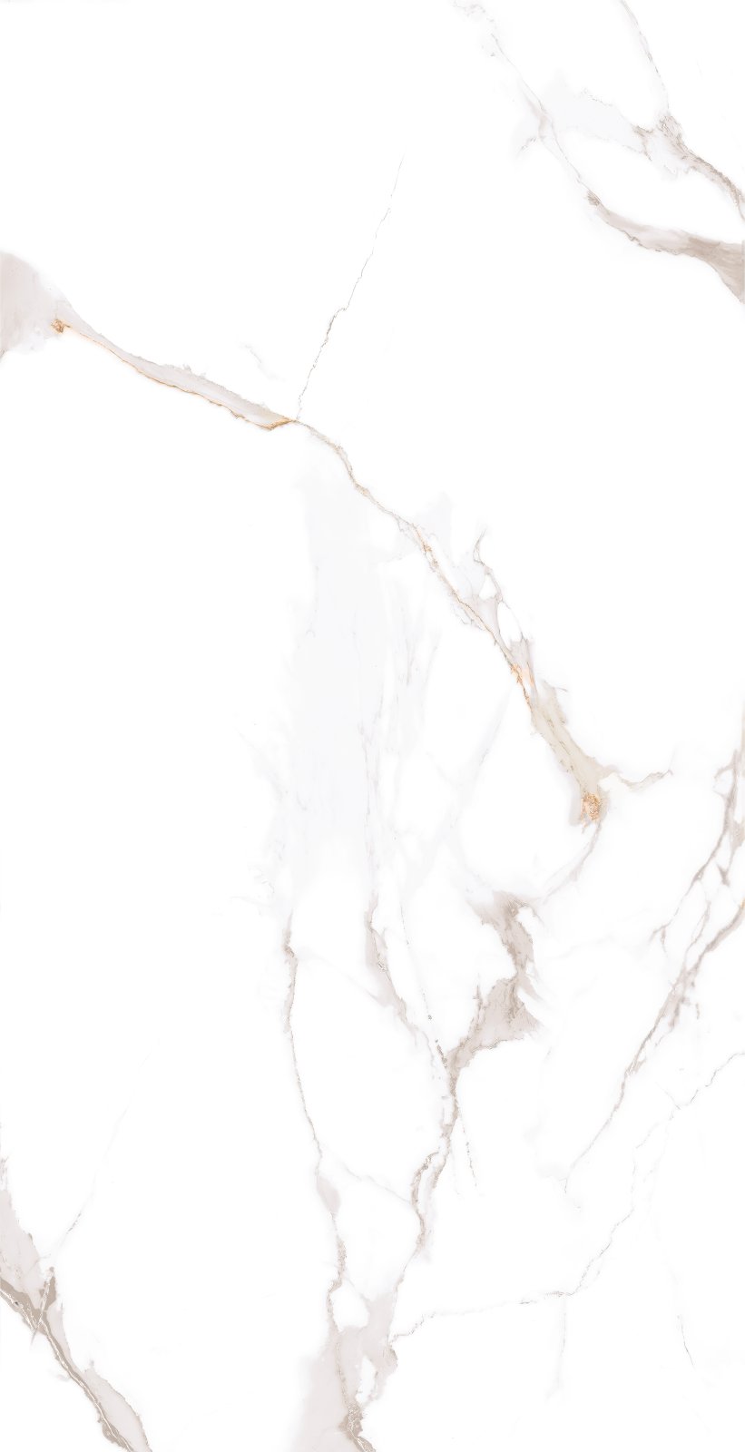 PLATINUM 30X60 TAVERN GREY REC